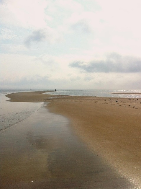 Free Beach Sun photo and picture