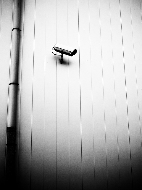 Free Camera Security System photo and picture
