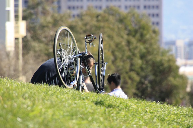 Free Wheel Bicycle photo and picture