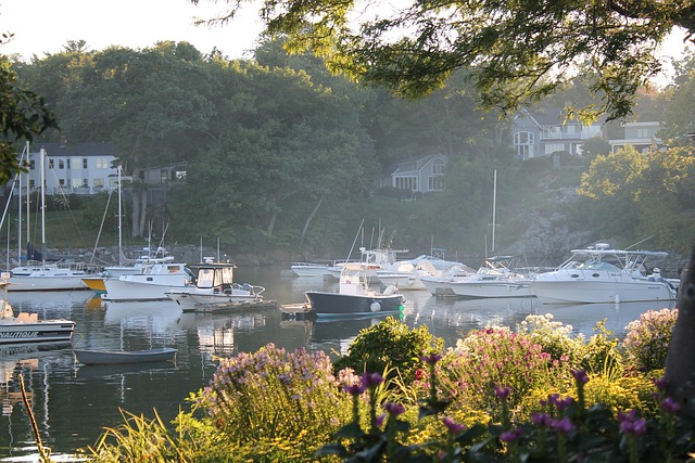 Free Boats Water photo and picture
