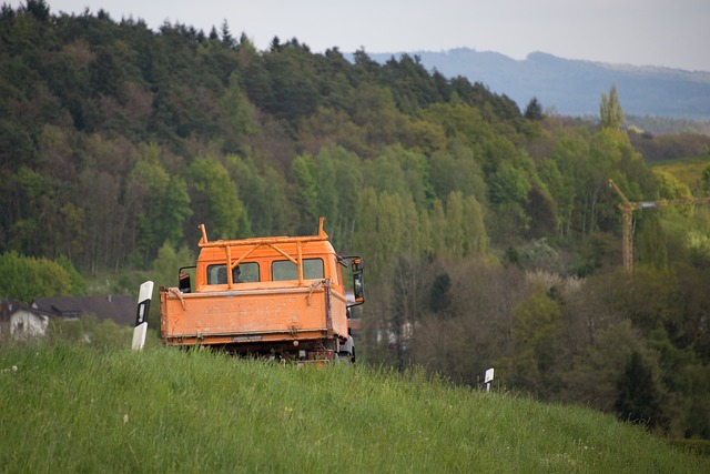 Free Commercial Vehicle Vice photo and picture