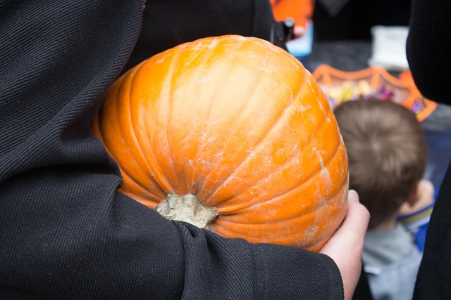 Dovleac, Halloween, Portocale, Purtând