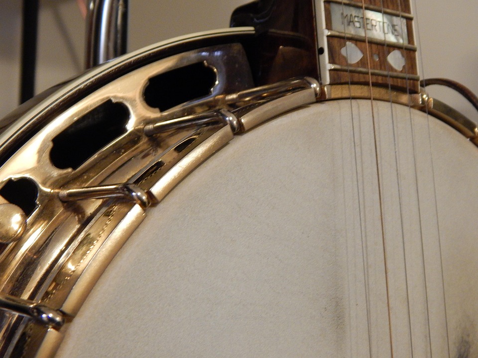 Banjo Instrument Strings - Free photo on Pixabay
