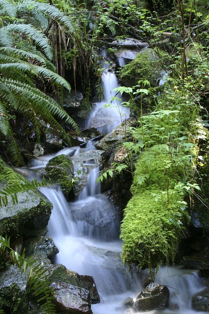 Free Nature Waterfall photo and picture