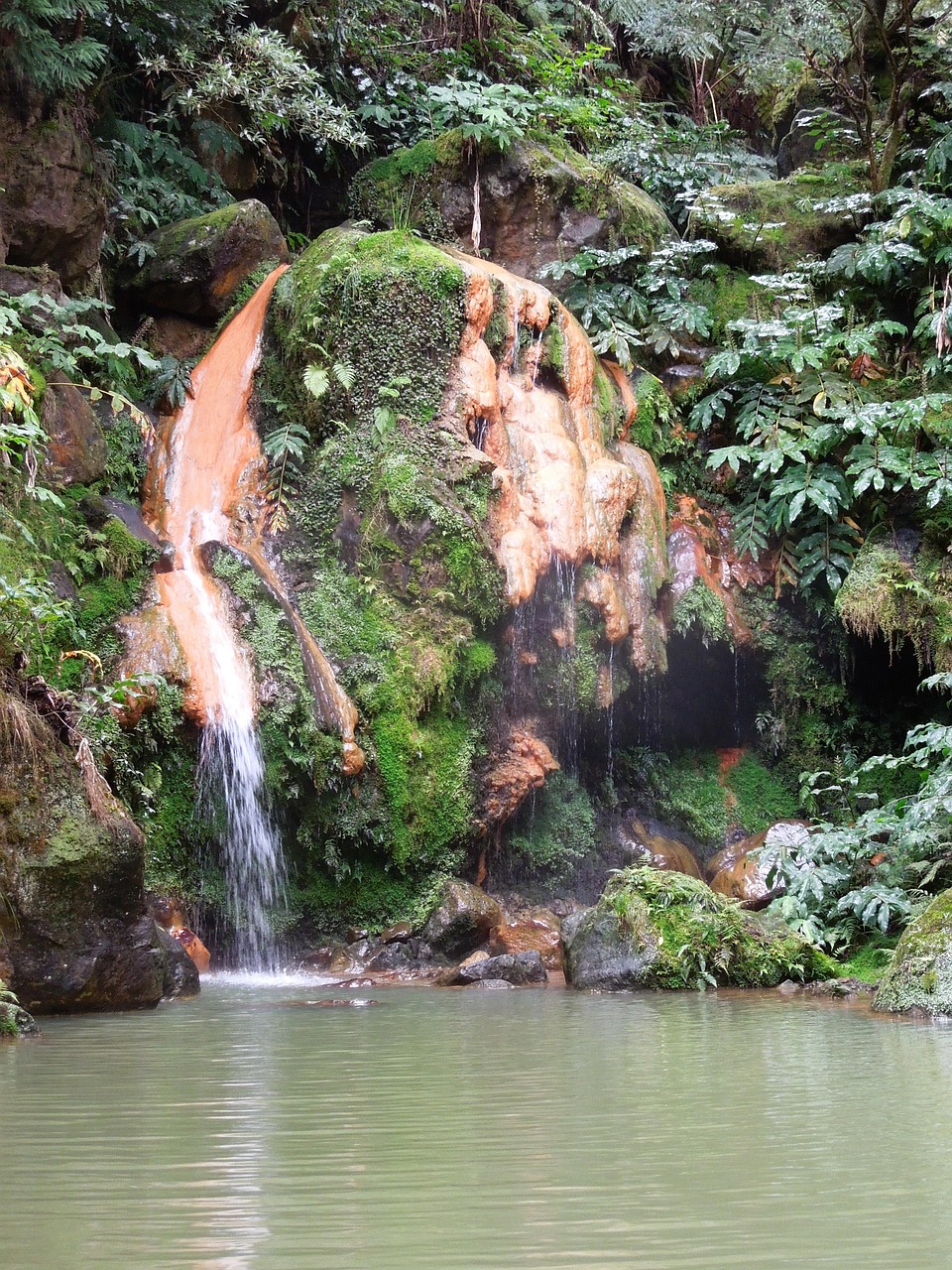 Azores Waterfall Natural Resources - Free photo on Pixabay - Pixabay
