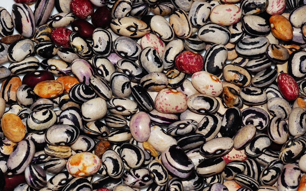 Beans Vegetables Legumes Free photo on Pixabay Pixabay