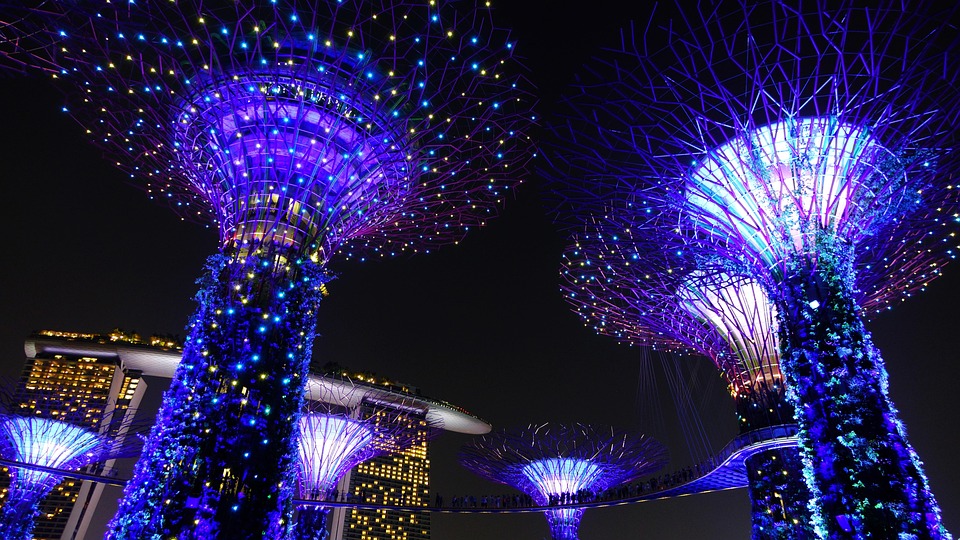 Garden By The Bay Night free photo: gardenthe bay, singapore, night - free image on Garden By The Bay Night free photo: gardenthe bay, singapore, night - free image on