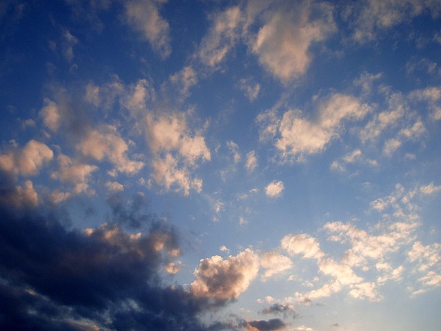 Free In The Evening Sky photo and picture