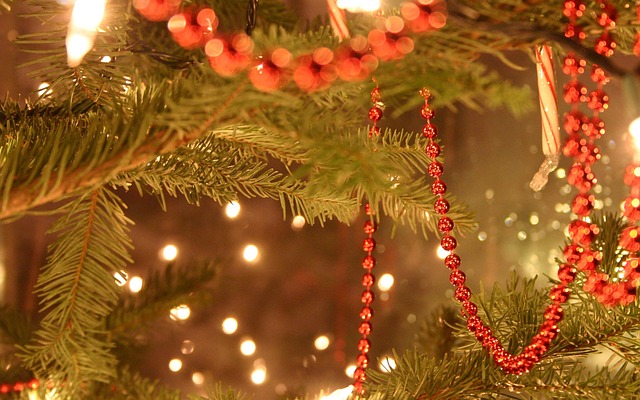 Free Christmas Tree Christmas photo and picture