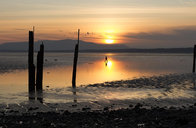 Free Sunset Bellingham Bay photo and picture