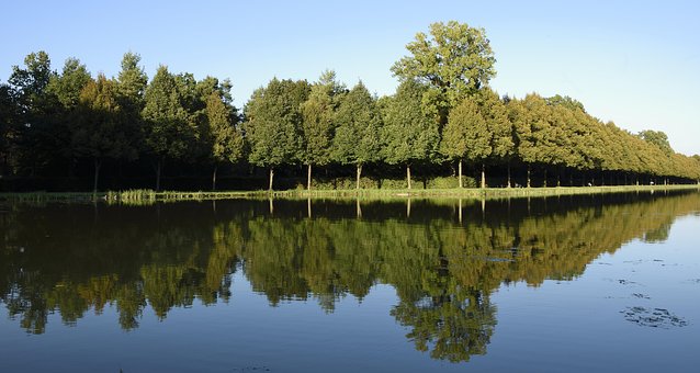 Schlosspark, สวนพระราชวัง, การสะท้อนกลับ