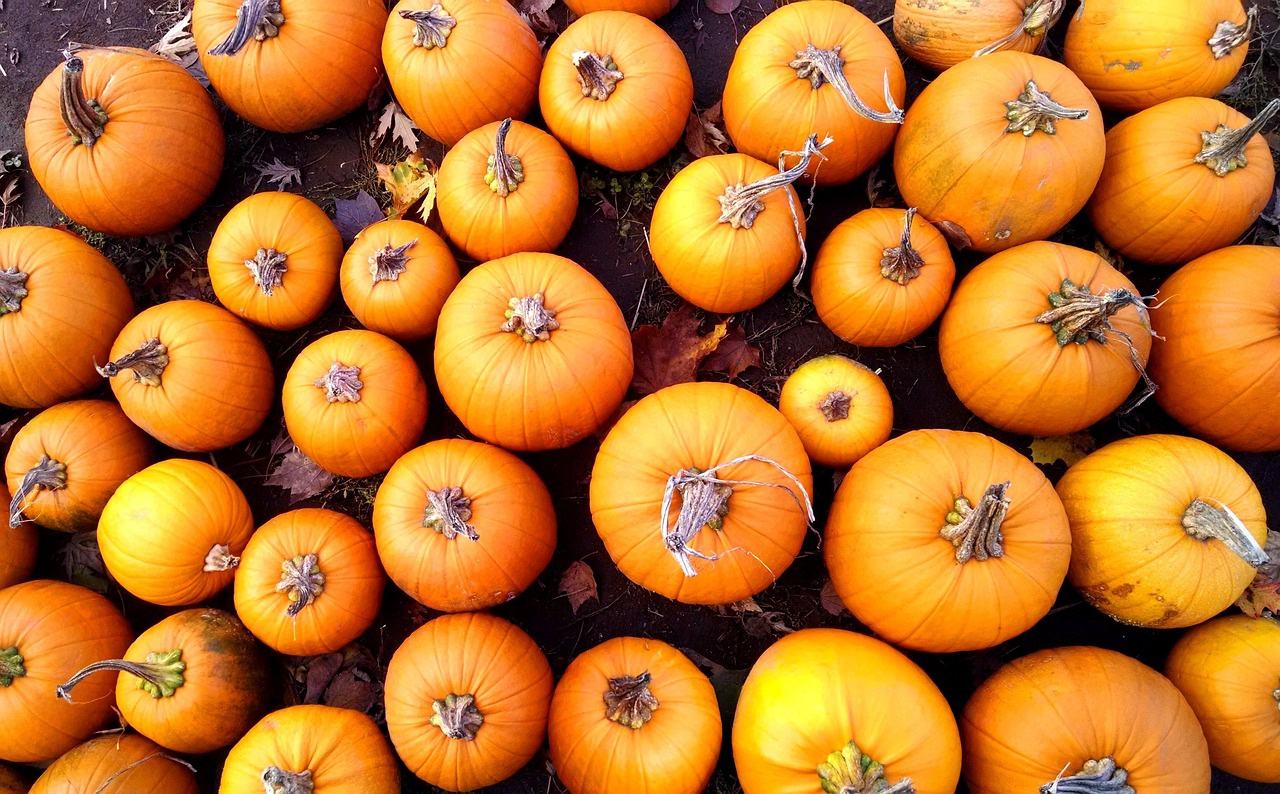 Pumpkins - free online jigsaw puzzle photo