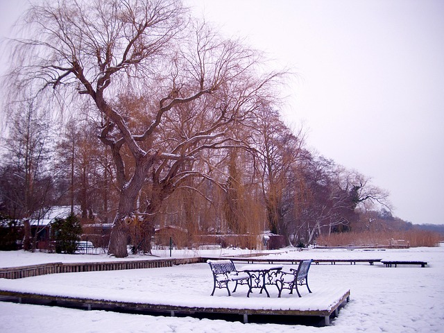 Free Winter Idyllic photo and picture