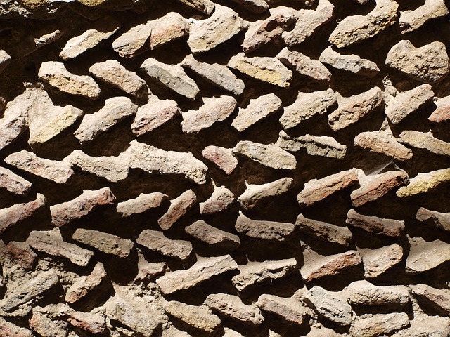 Free Wall Bricks photo and picture