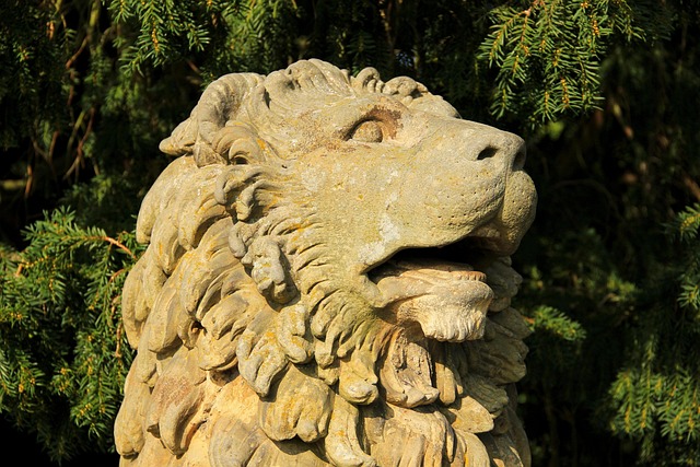 Löwe, Natur, Statue, Detail, Kopf, Stein