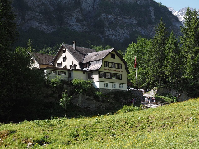 Free Hike Hiking Tour photo and picture