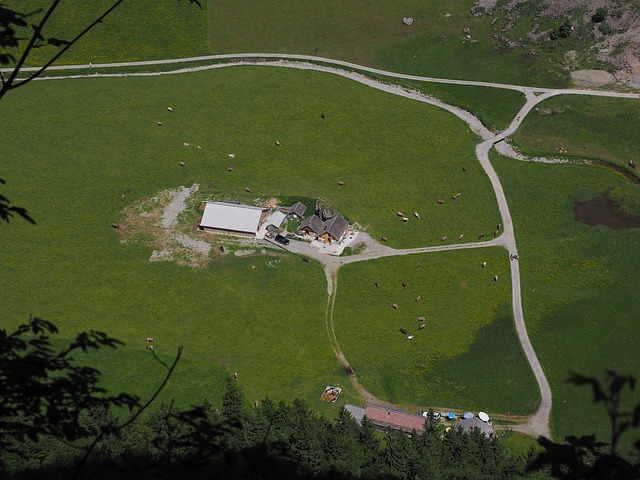 Free Alm Alpe photo and picture