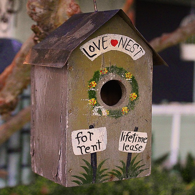 Free Bird House Love photo and picture