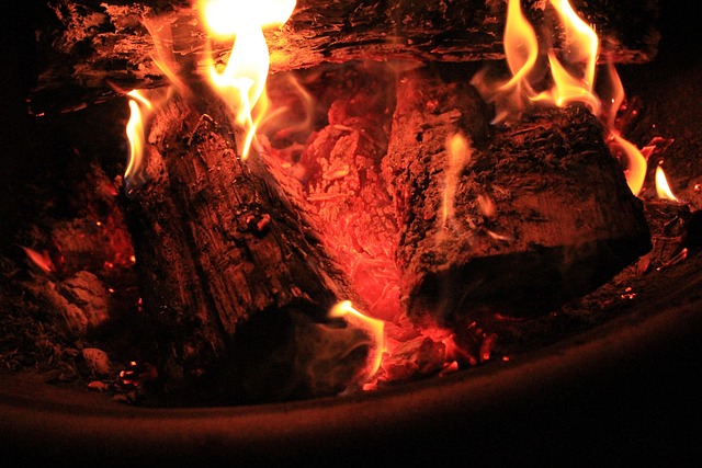 Free Fire Bonfire photo and picture
