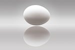 egg, hen's egg, protein
