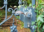 door handle, iron, wrought iron