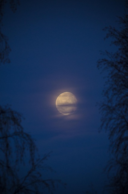 Free Full Moon Moon photo and picture