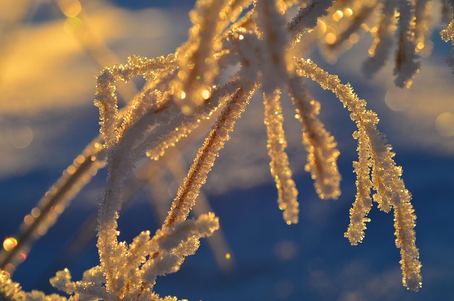 Free Frost Cool photo and picture