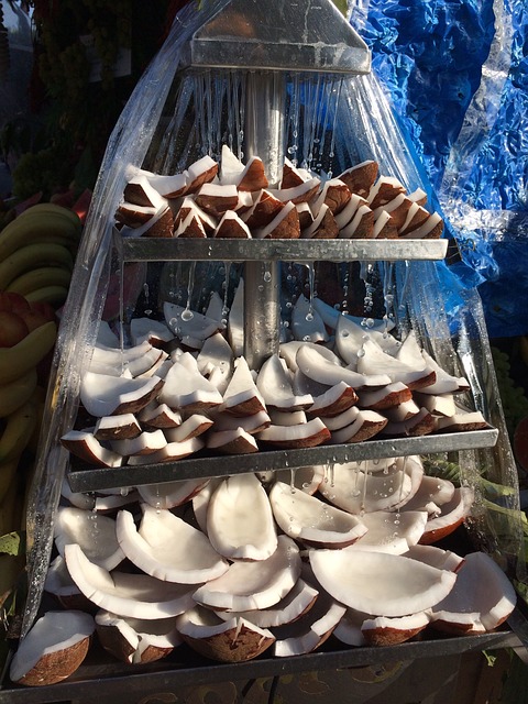 Free Cocos Coconuts photo and picture