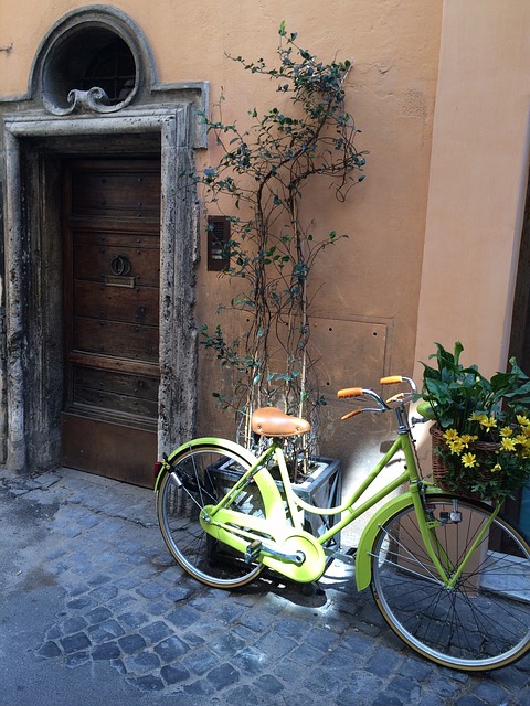 Free Bicycle Street Scene photo and picture