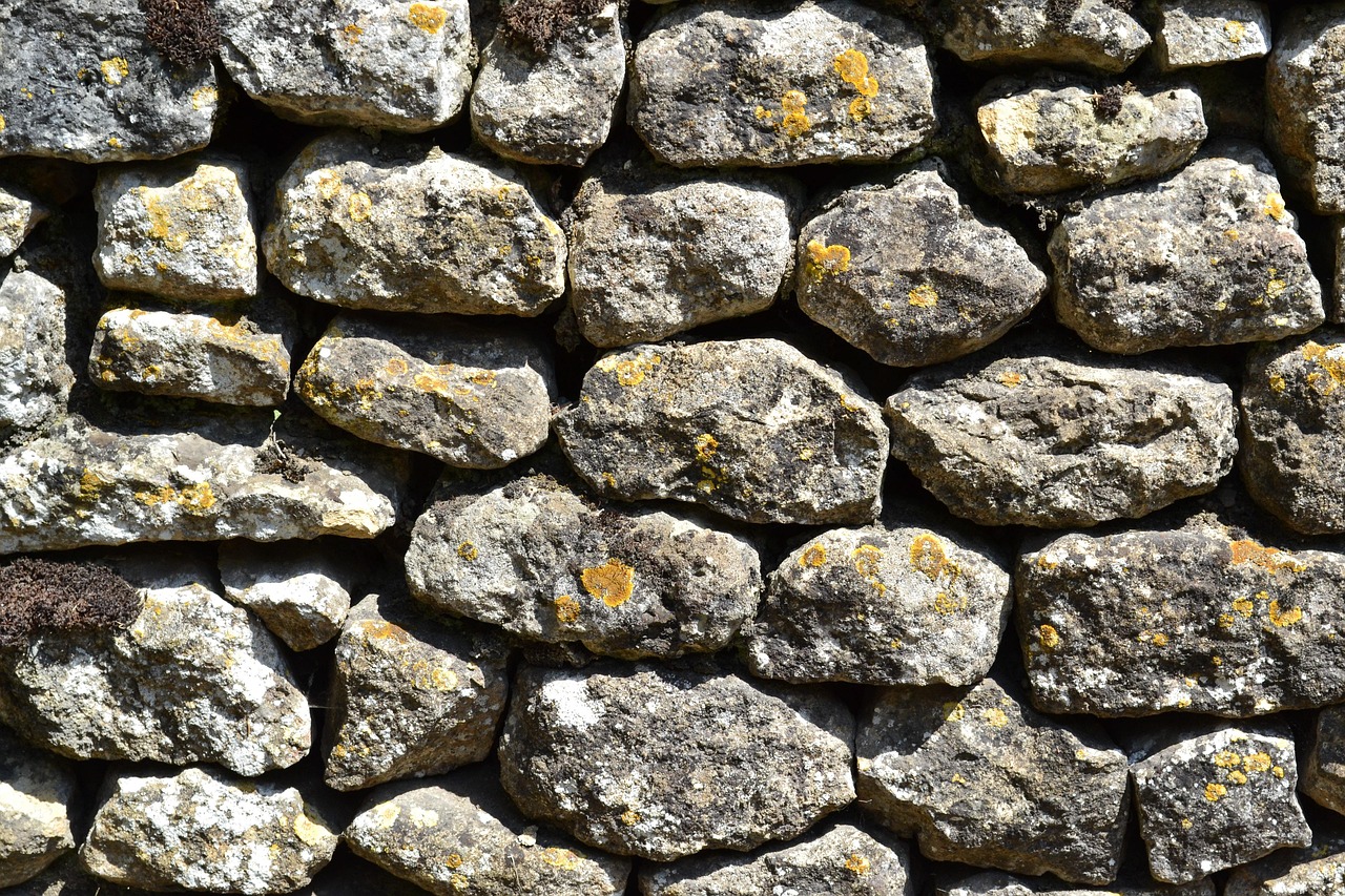 Wall - free online jigsaw puzzle photo