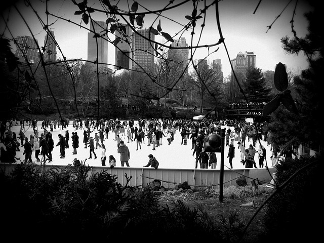 Free Rink Central Park photo and picture