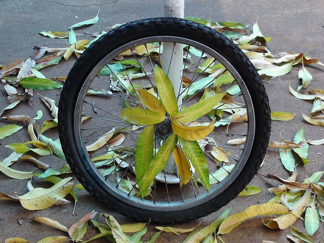 Wiel, Fiets, Gestolen, Band, Fietsband