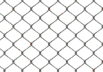 wire mesh, fence, wire mesh fence