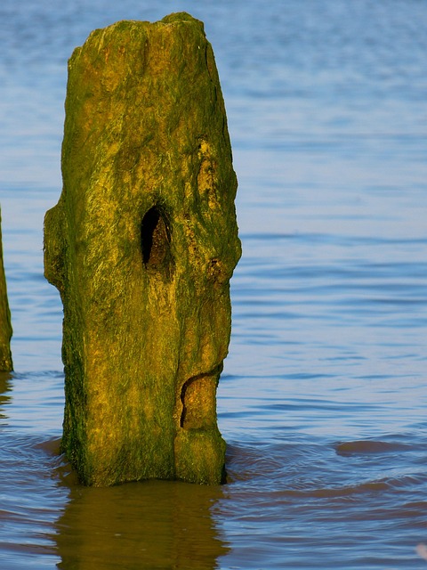 Free Post Stake photo and picture