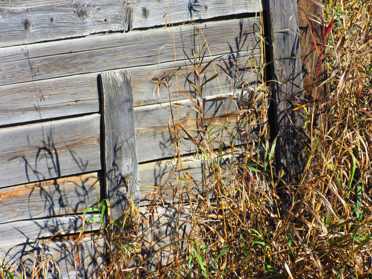 History - free online jigsaw puzzle photo