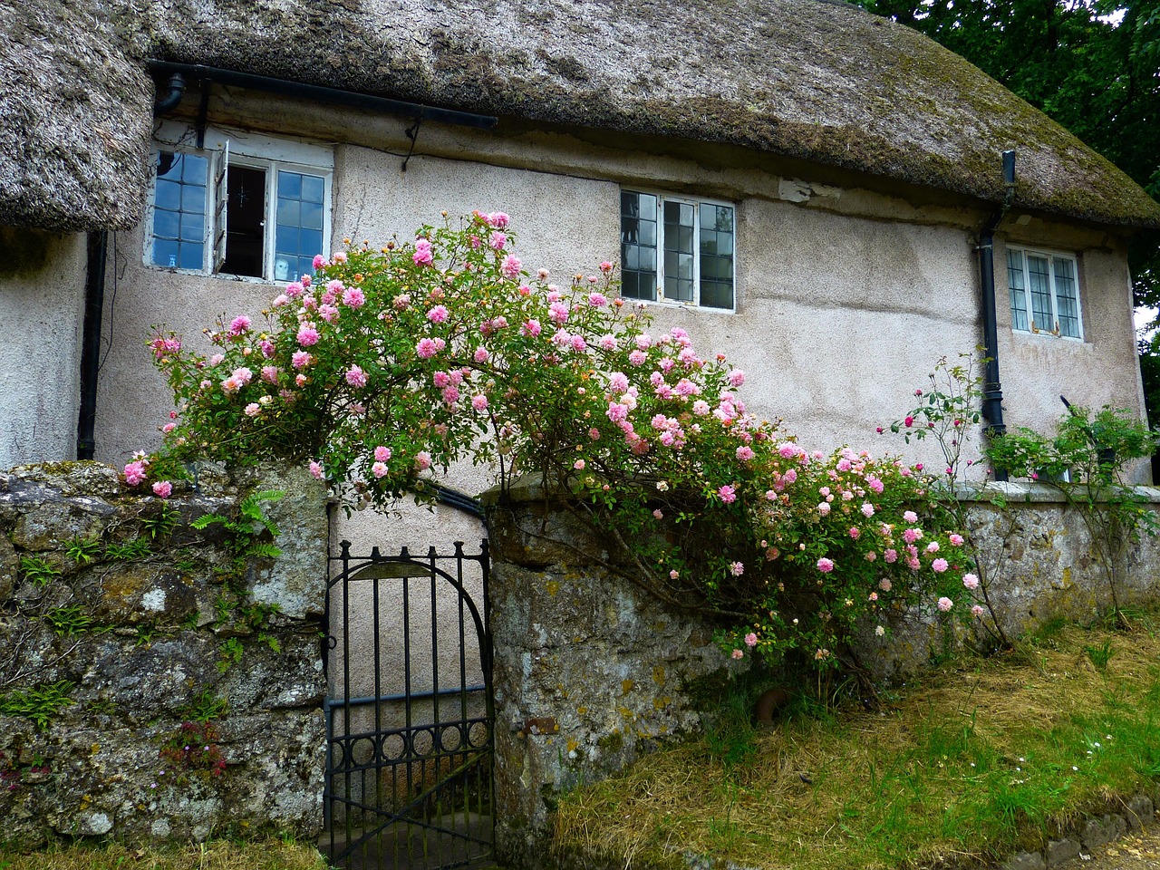 House Roses Rose Arch - Free photo on Pixabay