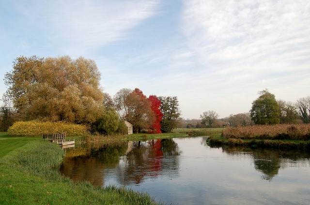 Free River Autumn photo and picture