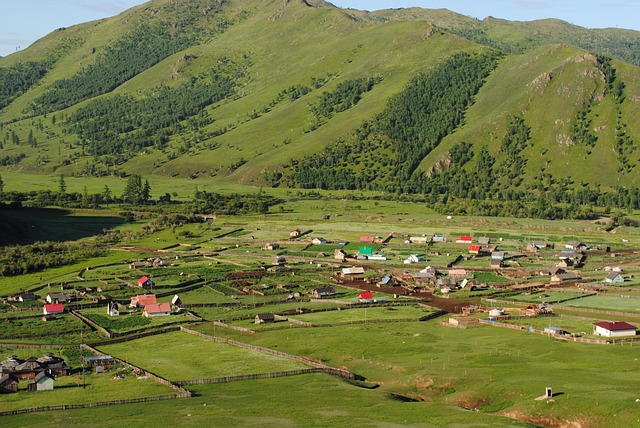 Mongolië, Groente, Gras, Landschap, Azië