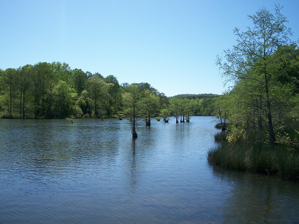 Lake Broken Bow Oklahoma Free photo on Pixabay Pixabay
