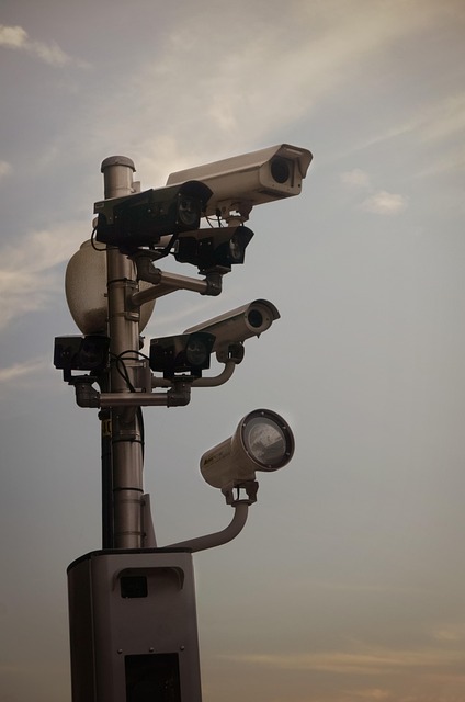 Free Surveillance State Cameras photo and picture