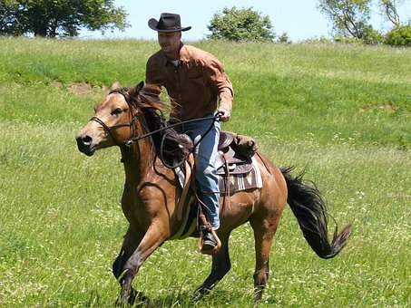 Rodeo, Cowboy, Fahrer, Pferd, Land