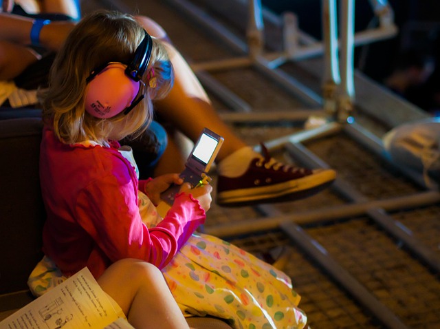 Free Festival Ear Protection photo and picture