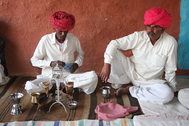 Free Travel Rajasthan photo and picture