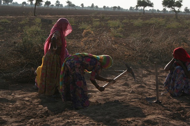 Free Women Work photo and picture