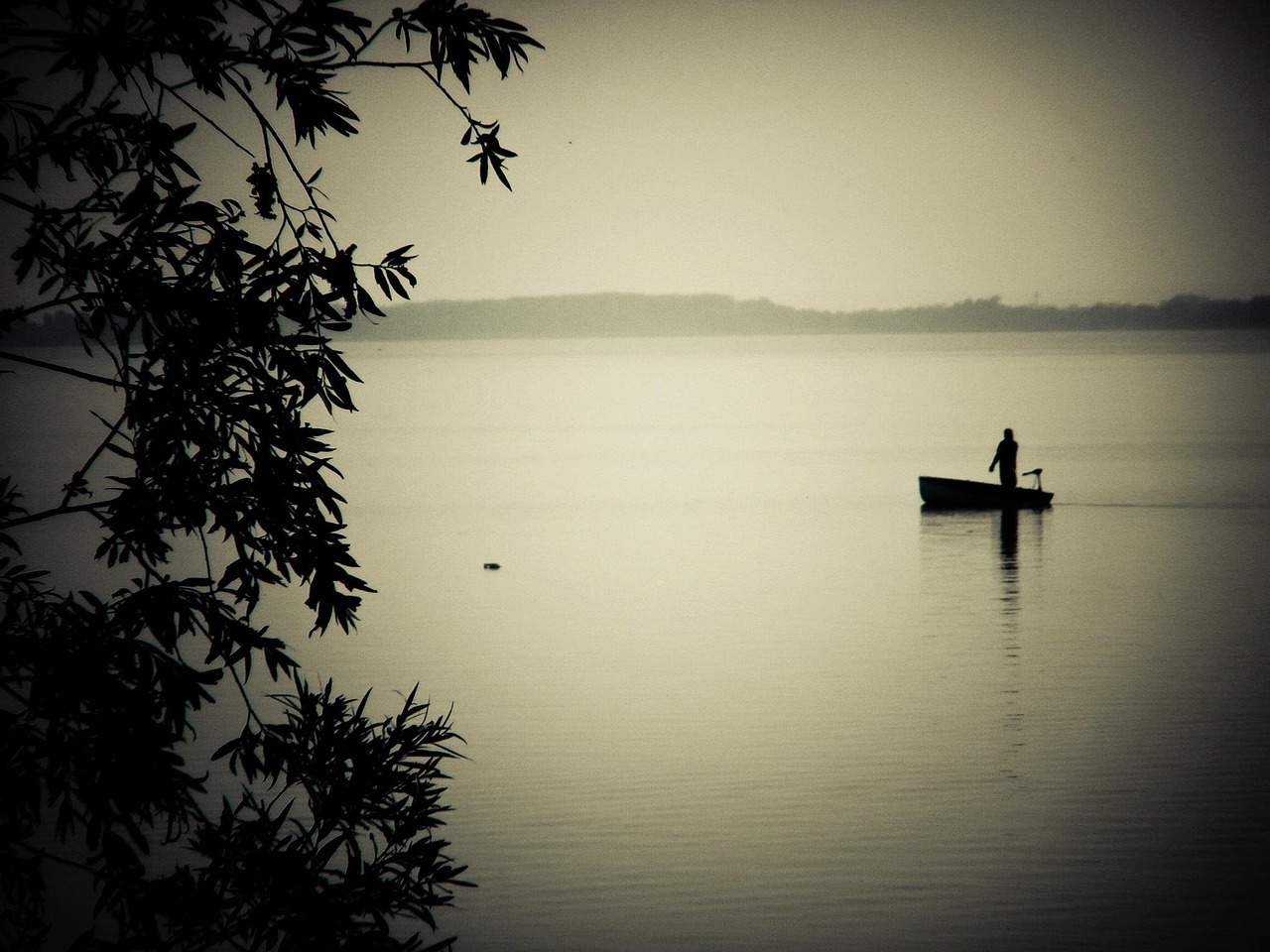 Free Fisher Angler photo and picture