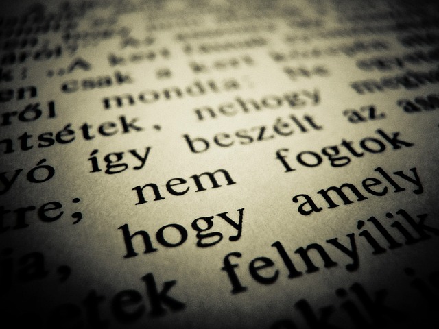 Free Text Bible photo and picture