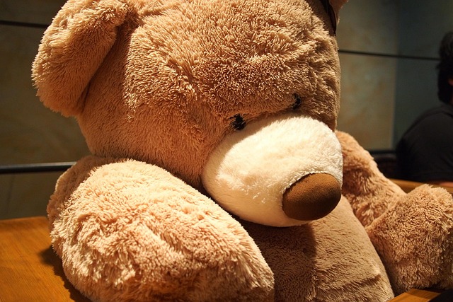 Free Teddy Bear Toy photo and picture