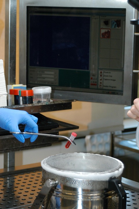 Laboratory Biospecimen Biobank - Free photo on Pixabay