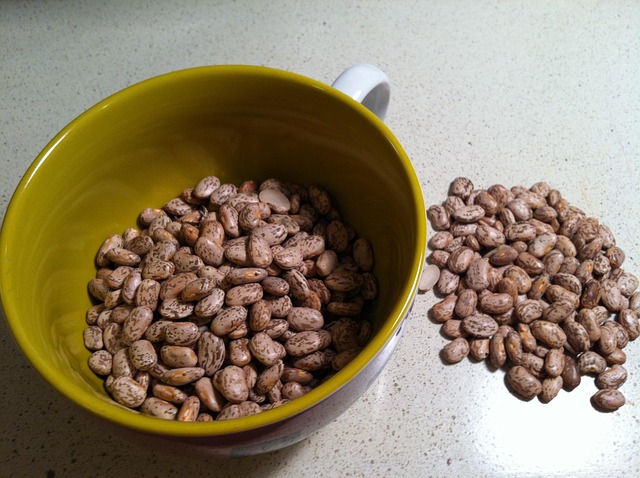 Free Beans Food photo and picture