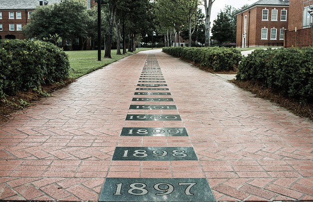 Free Brick Path photo and picture